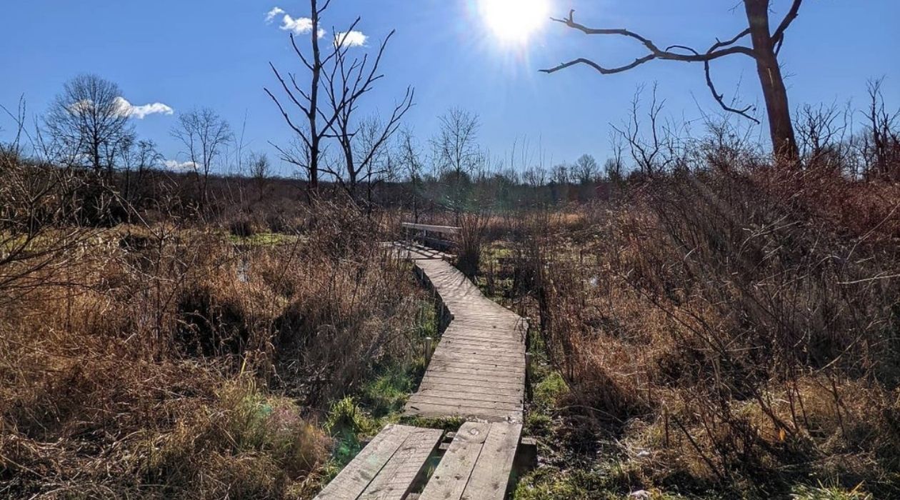 Vassar College Ecological Preserve Trails in Poughkeepsie